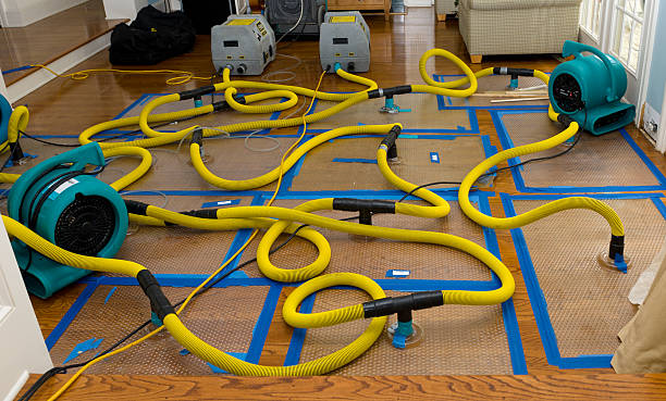 Professional Crawl Space Water Removal technician working in Stratham, NH